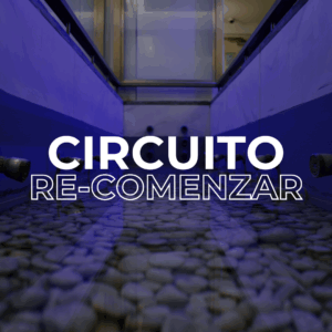 Circuito Re-comenzar