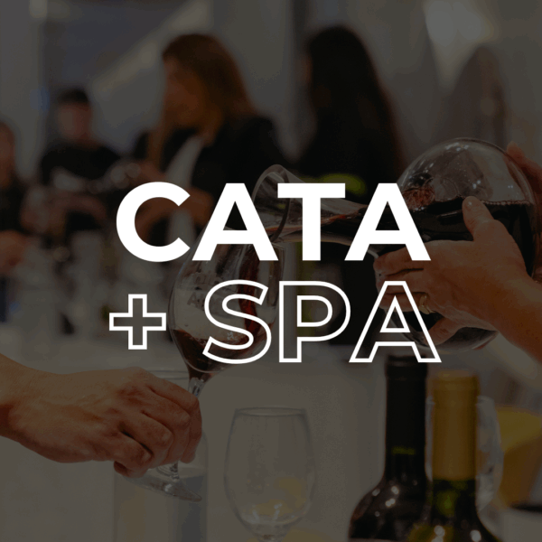 cata de vinos + spa en maika